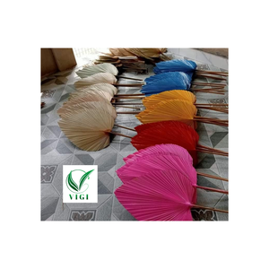 Abanico de mano de bambú bohemio Acento de pared de hoja de palma perfecto - Product Image 3