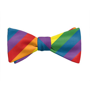 Hochwertige vor gebundene kleine karierte Bowties für Männer Rainbow Multi color Polyester Fliege für formelle Party oder Hochzeit - Product Image 1