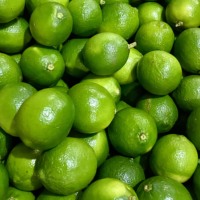 Citron vert frais/citron sans pépins de qualité supérieure du Vietnam 10 kg (WhatsApp Mme Pinky +84 359268 345)