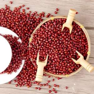 10 mini-cuillères en bois pour sucre, café et poudres à lessiver, cuillères en bois pour bidons, petites cuillères en bois - Product Image 2