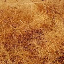 100% Natural de buena calidad Brown Coir Fiber Bale Natures Solución resistente Aprovechando el poder de Brown Coir Fiber Bale DE LA India - Product Image 2