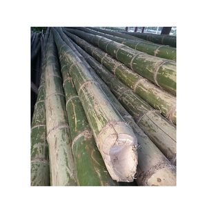 Matière première en bambou-Poteaux en bambou traités à vendre pour la fabrication d'un décor de clôture en bambou - Product Image 1