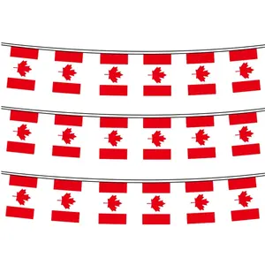 하이 퀄리티 캐나다 문자열 플래그 100D 폴리 에스테르 페넌트 번트 국기