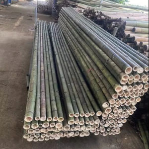 เสาไม้ไผ่ธรรมชาติคุณภาพพรีเมียมจากเวียดนาม สำหรับงานตกแต่งรั้วสวนกลางแจ้งและโครงสร้างตาข่ายสำหรับงานเกษตร - Product Image 1