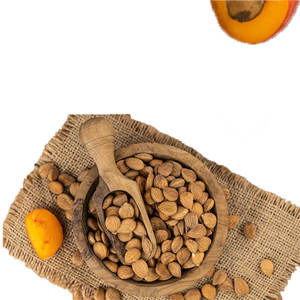 Núcleos de Albaricoque |   Alto contenido de aceite, grado A1 |   3 Años de Vida Útil para Uso Herbal y Orgánico - Product Image 6