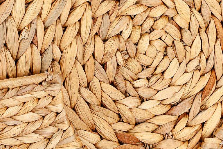 ธรรมชาติ