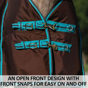 <b>Waterproof</b> Turnout Horse Rug Brown Turquoise Trim Oxford Fabric All Seasons Outdoor Use 2 Leg Straps Standard Neck Large Tail - Product Image 4