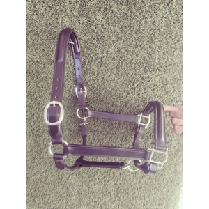 Accessoires de cheval de selle anglais de haute qualité licou en caoutchouc Super souple blanc avec matériel en PVC Durable cuir de bonne qualité - Product Image 4