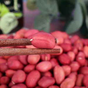 Núcleos Secos Crudos al por Mayor para Marcas de Snacks y Productores de Confitería - Suministro de Maní 100% Natural - Product Image 3