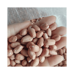 Cacahuetes blanqueados de calidad, material: granos sin piel; uso: recubrimiento de confitería y elaboración de brittle; origen: Vietnam, OEM - Product Image 6