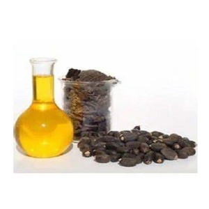 Aceite de jatropha refinado de alta calidad a granel para la producción de biodiésel y uso industrial exportador confiable con suministro global - Product Image 4