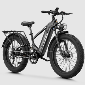 Offre de vente aux enchères abordable et très avantageuse pour 2026 ! Vélo électrique M2 Pro Xterrain - Product Image 3