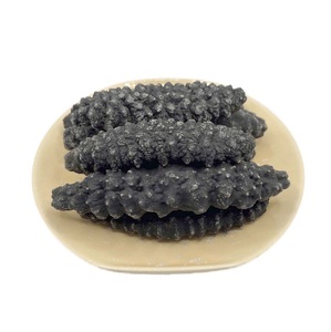 Pepino de mar seco Variedad de manchas blancas Grado superior Envasado a granel sin gluten Proveedor mayorista - Product Image 1