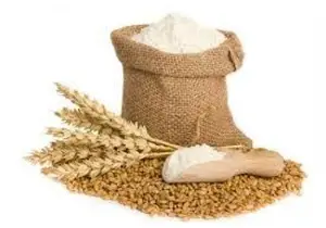 Best Quality Whole Wheat Flour Price/Wholesale Organic White Wheat