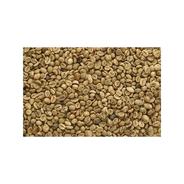 Feijões verdes especialidade árabica tha1 fabricação de grãos de café grau superior