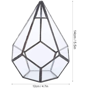 Cadre en métal en fer d'excellente qualité avec verre forme Unique Terrarium fini noir décoration de plantes de maison décoration de mousse de jardin - Product Image 6