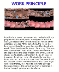 Colonic Hydrotherapy SystemWaste <b>Disposal</b> <b>Camera</b> Observation Function Bowel Cleansing Detoxification Drug Administration Machine - Product Image 4