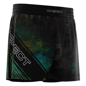 MMA Cross Training Boxing Shorts Trunks Fight Wear Muay Thai Boxing Shorts Gym Trunks Classic Boxing Shorts - Product Image 5