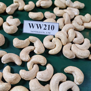 ถั่วแซนติโกและเมล็ดมะม่วงหิมพานต์คาจู WW210ถั่วแห้งผลิตในเวียดนามบริการ24/24 - Product Image 1