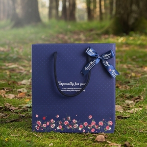 Bolsa de Papel Biodegradable Personalizada Más Vendida de Wins con Logotipo Impreso en Cinta para Promoción en Supermercados y Uso en Exposiciones - Product Image 4