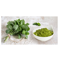 Meilleure Offre – Nouvelle Poudre de Menthe Séchée par Pulvérisation 100% Pure et Naturelle, Qualité Alimentaire, 25 KG, Fabriquée en Inde par Herbojit International, Durée de Conservation 12 Mois