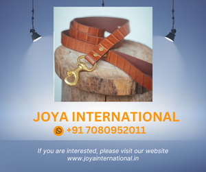 Imprimé croco avec laisse de chien - Product Image 2