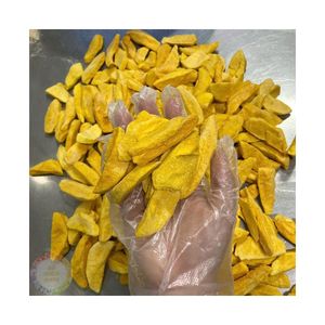 มะม่วงอบแห้งแบบแช่แข็ง วัตถุดิบจากผลไม้ธรรมชาติ เหมาะสำหรับใช้เป็นส่วนผสมในบรรจุภัณฑ์ขนม ผสมอาหาร และแปรรูปขนมหวาน จากประเทศเวียดนาม - Product Image 1