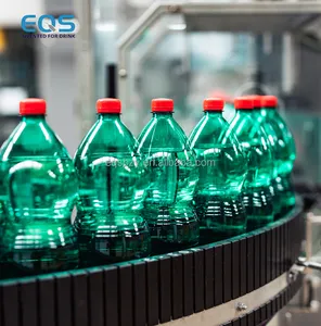 Linea di produzione di riempimento di bevande gassate bottiglie di 5000 automatiche Per piccole imprese all'ora