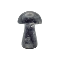 Haute qualité cristal champignon Larvikite Gua Sha corps naturel grattage outil de Massage visage pierre précieuse champignon en gros