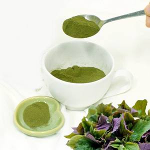 Polvo de extracto de planta de bistec orgánico de primera calidad, polvo de hoja de perilla shiso vegana saludable con precio competitivo - Product Image 2