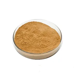 Malaysian Standardized Kesum Leaf Extract Powder Safe Improve Health Water Based High In Antioxidant