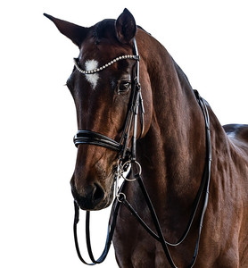 Brevet Essential Double Bridle Seasonal Old Snake certifié ISO 9001 personnalisable sur demande expédition en gros sur mesure - Product Image 1