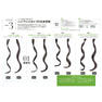 JBPQMastering Permanentes capillaires infusées à la cystéine pour cheveux abîmés, explorant les designs ondulés - Product Image 6