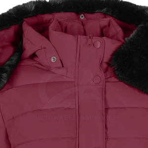 Vêtement d'extérieur décontracté pour femmes, veste en fausse fourrure d'hiver avec capuche, manteau chaud en peluche, veste à capuche en fausse fourrure surdimensionnée pour femmes - Product Image 4