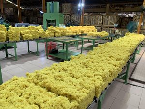 ยางสังเคราะห์ SVR 3L SVL 3L คุณภาพสูง มาตรฐานเวียดนาม วัตถุดิบธรรมชาติ สีเหลือง รูปทรงลูกบาศก์ สำหรับถุงมือและที่นอนจากเวียดนาม - Product Image 2