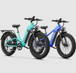 OFFRE ABORDABLE 2026 MAINTENANT DISPONIBLE POUR LIVRAISON IMMÉDIATE SUR LA VENTE D'ÉLEVEURS DE VÉLOS ÉLECTRIQUES M1 Pro+M2 Pro - Product Image 2
