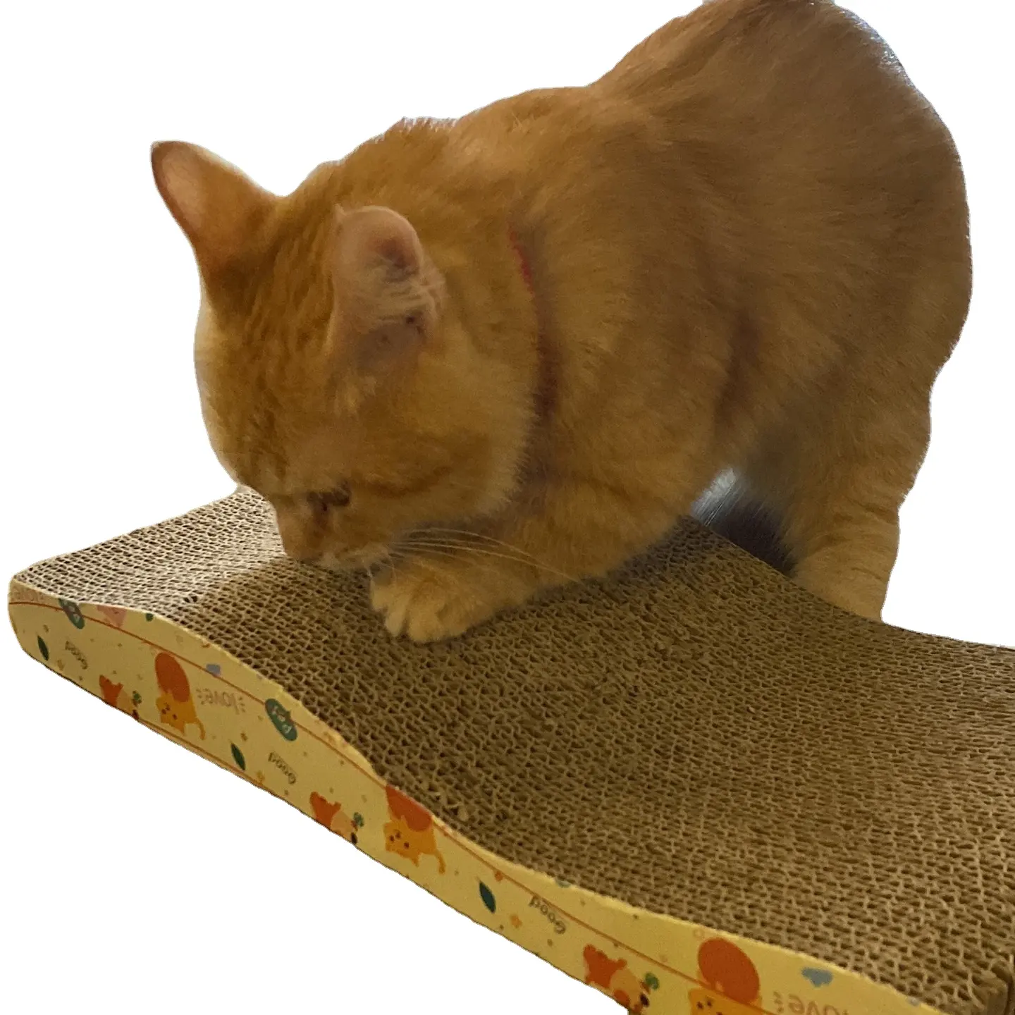 CS16 WINVN Toys for Cat, Cat Scratcher Whole world Exporting from Vietnam Manufacturer Hard Cardboard High quality OEM Service