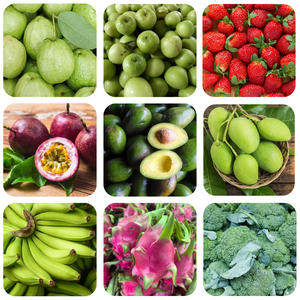 โช้คแก๊สเอทิลีน Secco keepfresh 5กรัม200ชิ้นต่อกิโลกรัม - Product Image 6