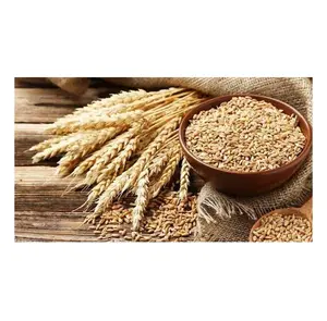 도매 가격에 인간 식품 또는 동물 사료를 위해 밀 전체 곡물 및 씨앗의 대량 재고 가능