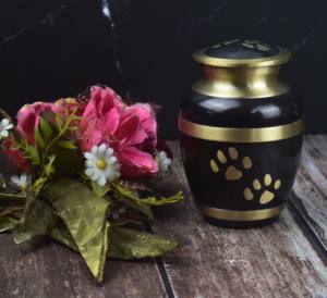 Black Gold Metal <b>Urn</b> Adult Human Ashes with Walk Foot Print - Product Image 2