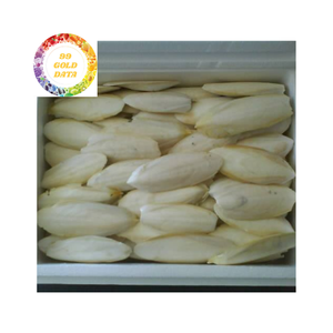 Cuttlebone a granel de Vietnam de alta calidad y súper barato para venta al por mayor - Product Image 3