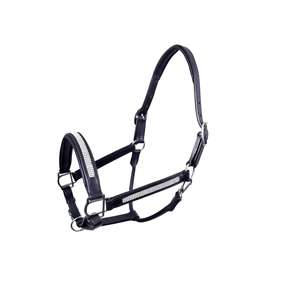 Licou en cuir anglais Elite marron cuir souple rembourré matériel en laiton durable confortable équestre Tack - Product Image 2