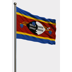 Drapeau d'extérieur Eswatini imprimé numériquement en soie et polyester pour affichage sur mât en aluminium - Product Image 1