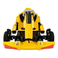Nouveau Buggy de Course Électrique 4x4 Renli EEC5 500cc 2 Places 2020, Kart de Qualité Supérieure Grade A 110cc 1000W 40km/h avec Frein Hydraulique