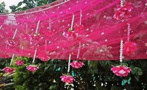 Toldo Nupcial de Tela de Red con Guirnaldas de Borlas de Perlas, Toldo Nupcial Ecológico con Flores para Entrada de Boda, Dulhan Chadar - Product Image 6