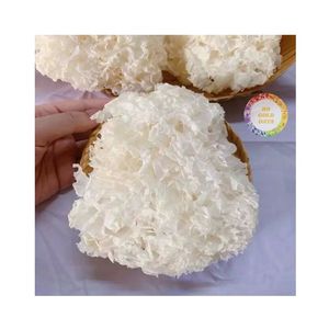 Tremella fuciformis auténtica, hongo blanco como la nieve, hecho en Vietnam, hongo de nieve silvestre natural recolectado en la montaña para sopa - Product Image 3