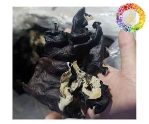 Vente en gros de champignons d'oreille séchés du Vietnam, champignons d'oreille naturels, champignons noirs, qualité d'exportation garantie par l'usine - Product Image 5
