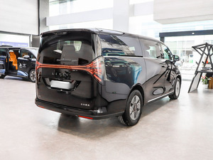 Nouvelle énergie MPV LEVC London Electric Vehicle Company Modèle 2025 570 km Édition Premium Série de voitures de luxe à essence fournie - Product Image 5