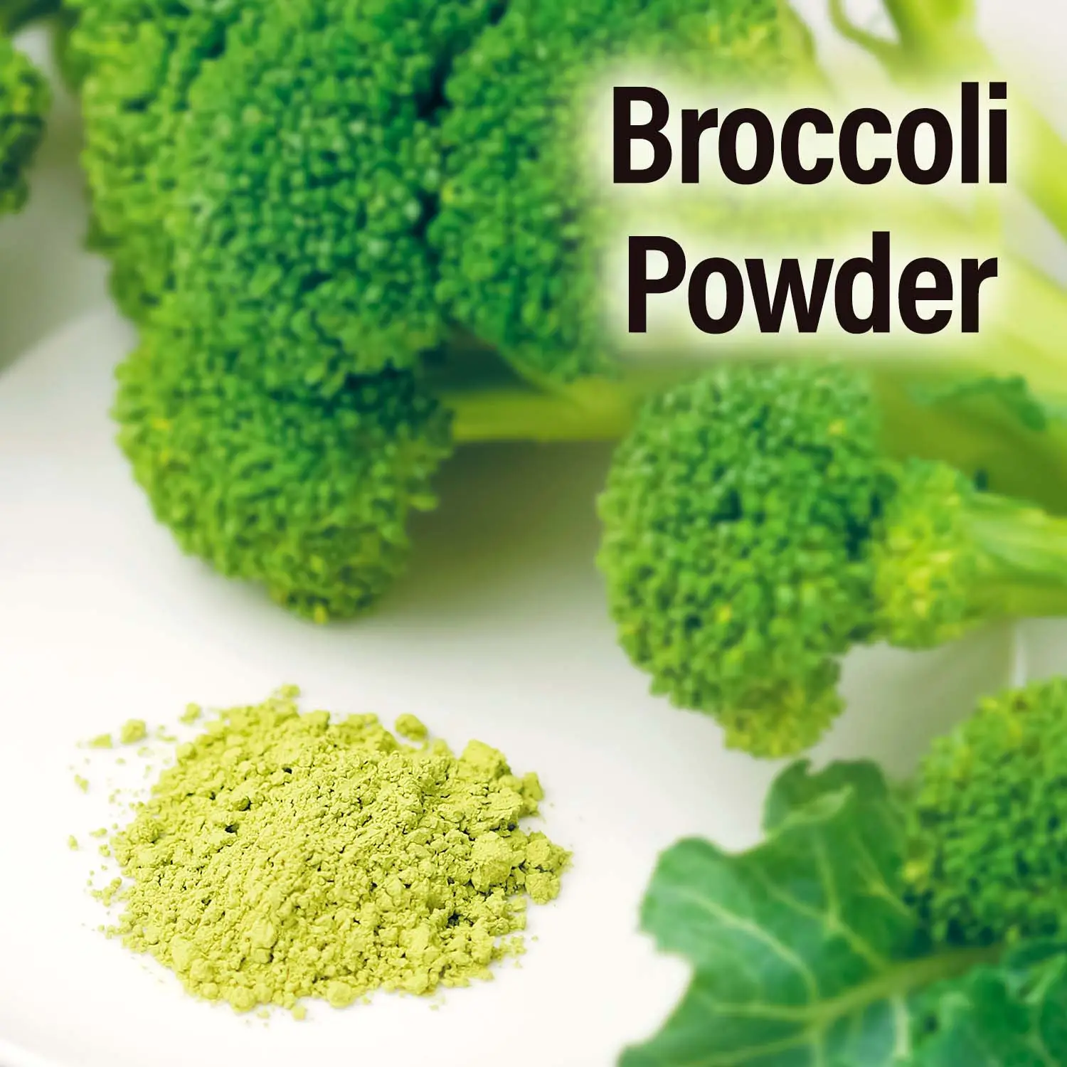 High Quality Natural Pure Broccoli Powder Vegetarian Vegan 100% From Japan Wholesale
