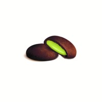 Biscuits ronds fourrés à la crème de pistache Cremosi 150 g Fabriqués en Italie Sélection GVERDI Nourriture italienne